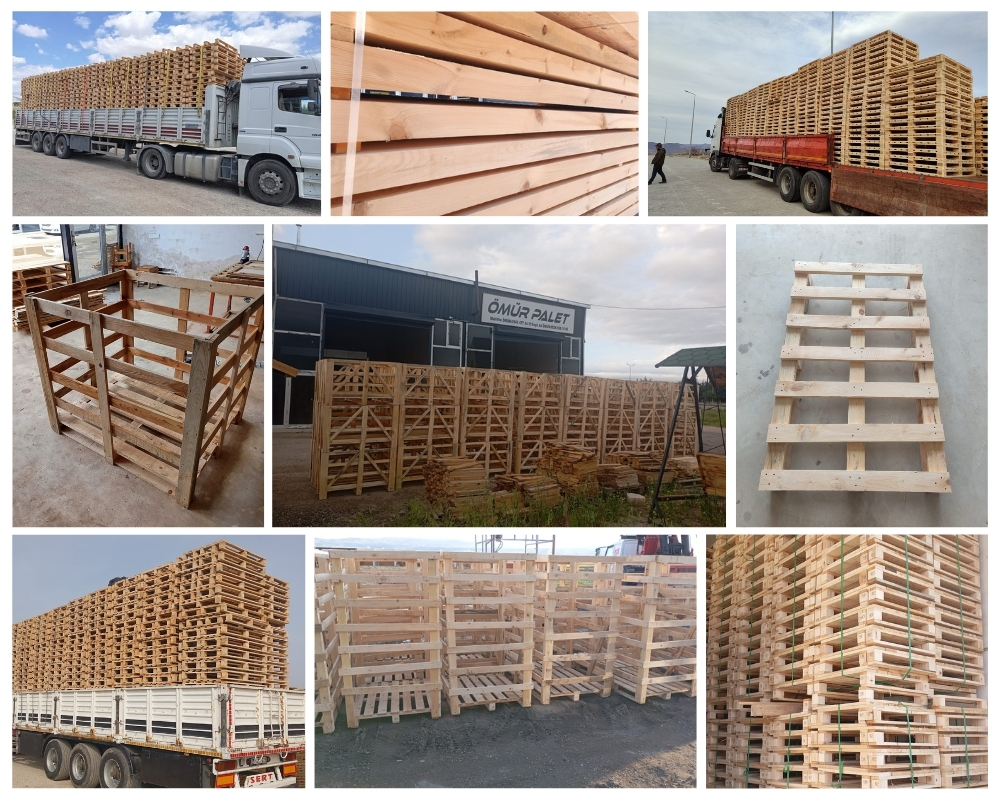 Wirdum Houten Kisten, Europallets Groothandel Kopen